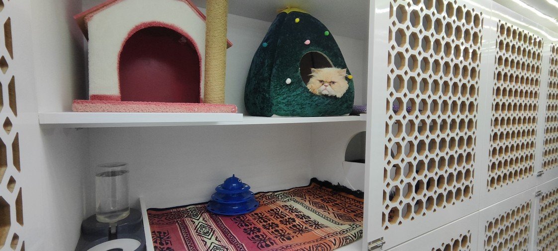 Minik Patiler Kedi Oteli