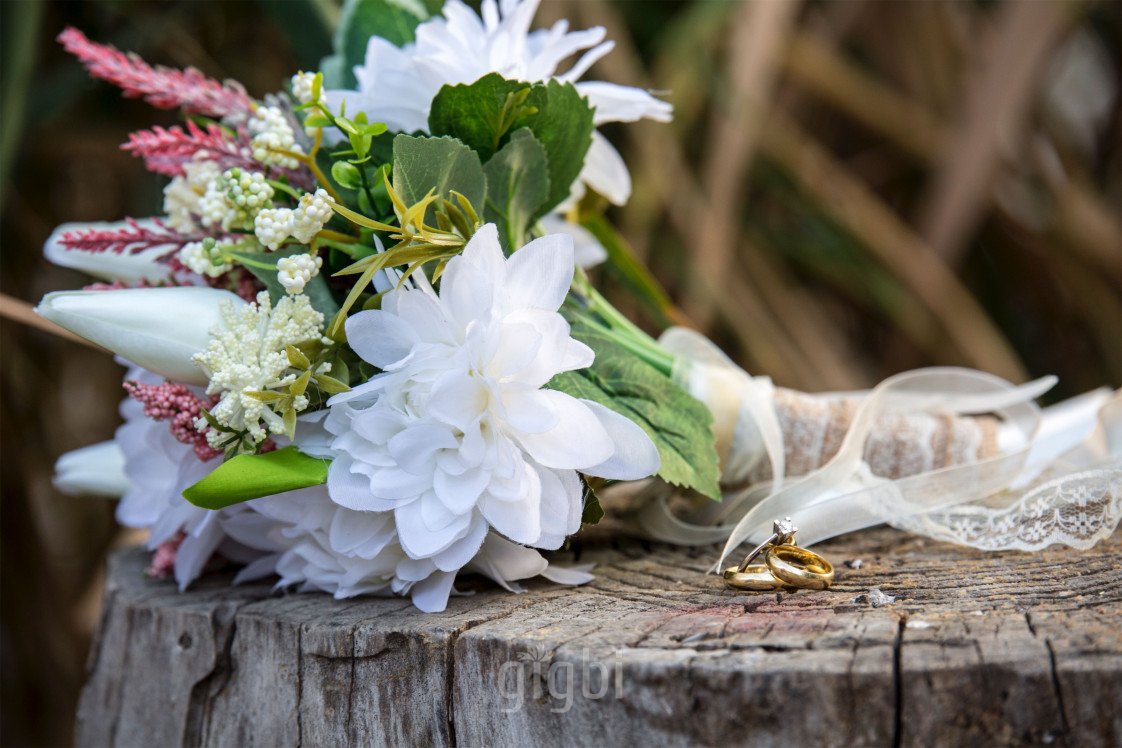 A. Ö. Fotoğrafçılık