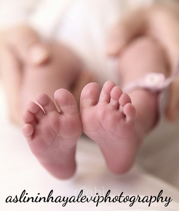 Aslı'nın Hayal Evi