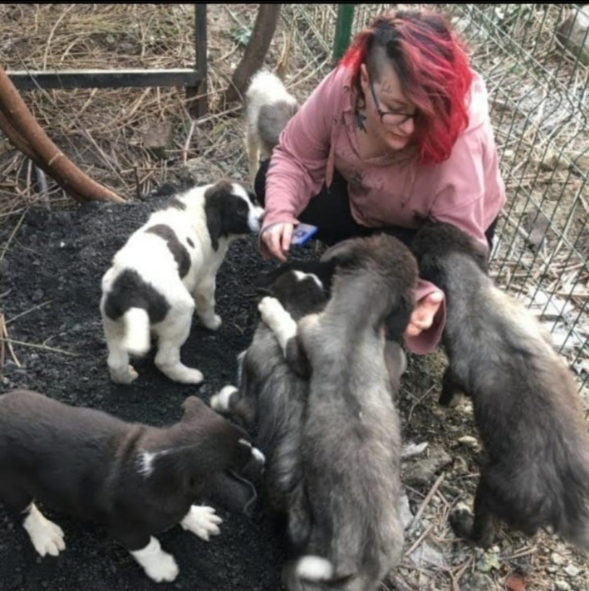 Asya Begüm Uyanıksoy