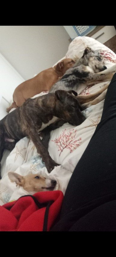 Asya Begüm Uyanıksoy