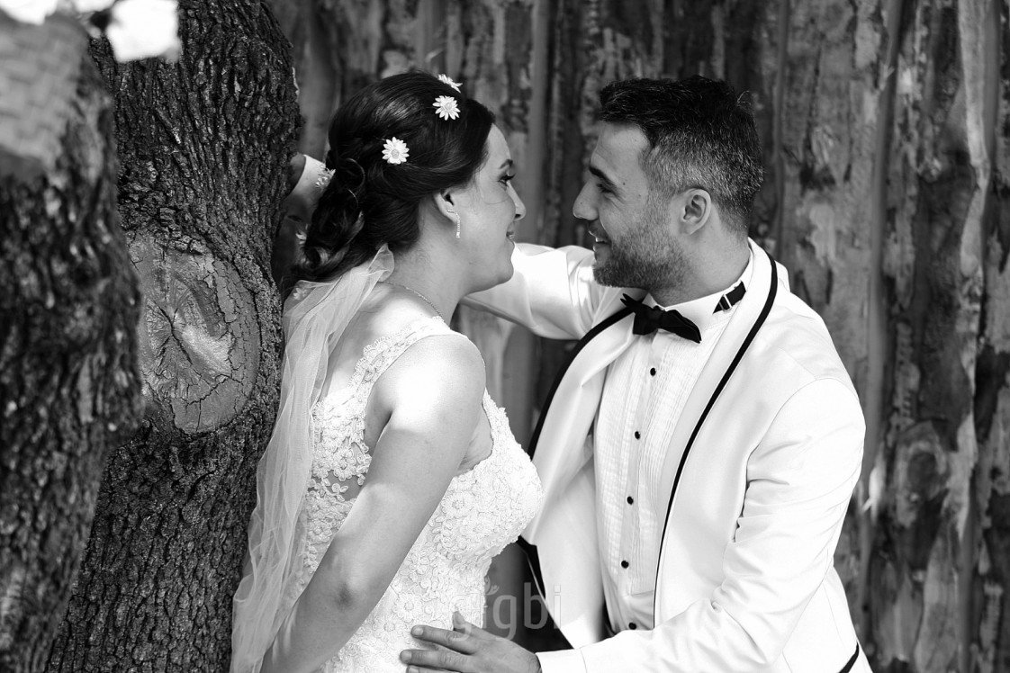 Atsvip fotoğraf platosu