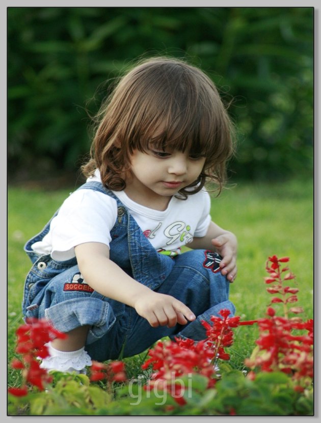 Çavuşoğlu Photography