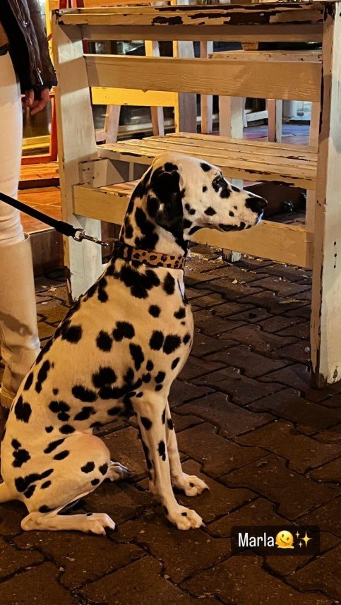 Ayça Kıroğlanoğlu