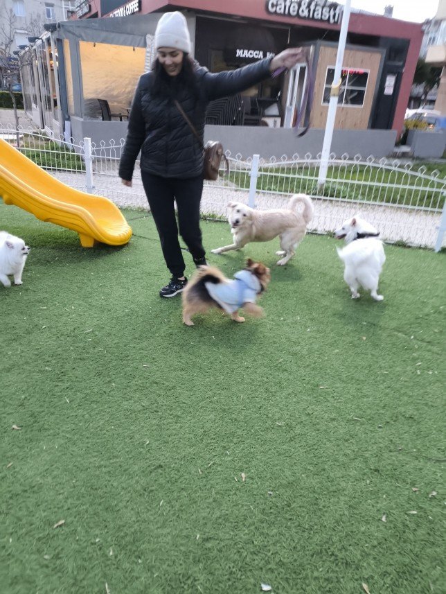 Ayça The Dog Walker