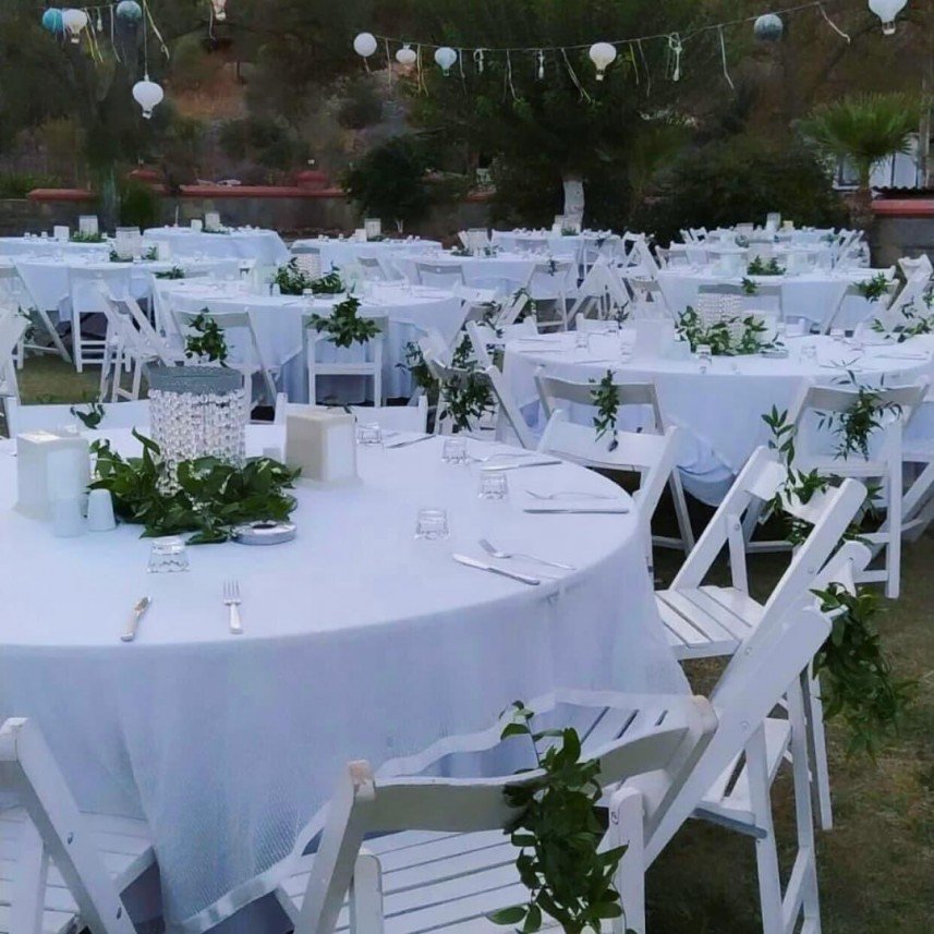 AYDIN ALP ORGANİZASYON