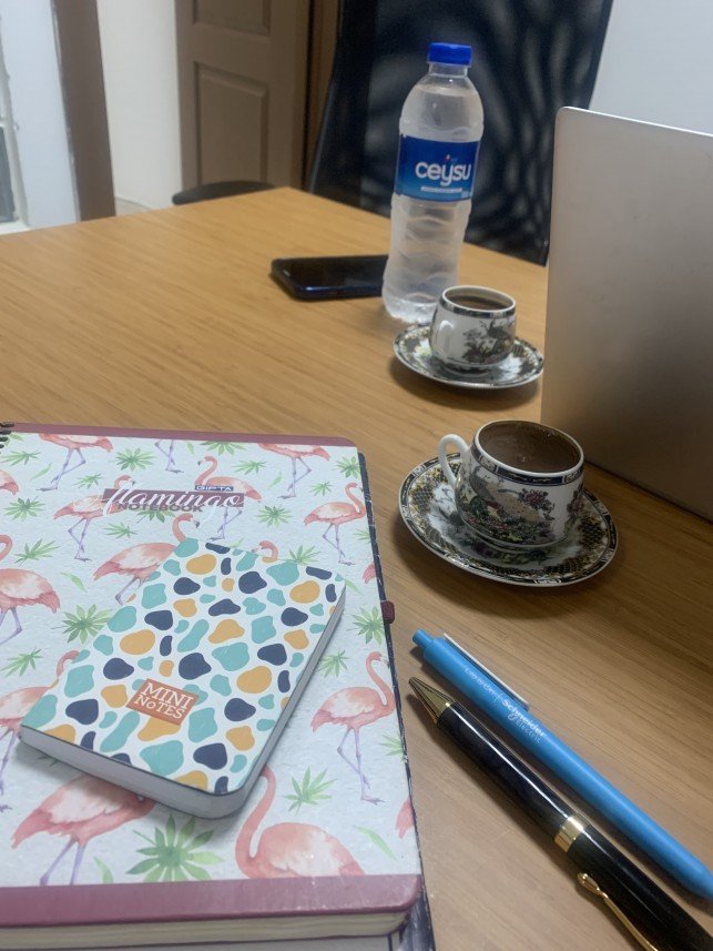 Ayşe Nazlı Koçyiğit