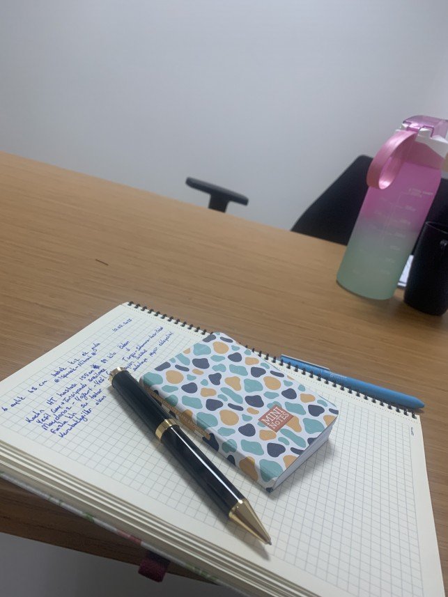 Ayşe Nazlı Koçyiğit