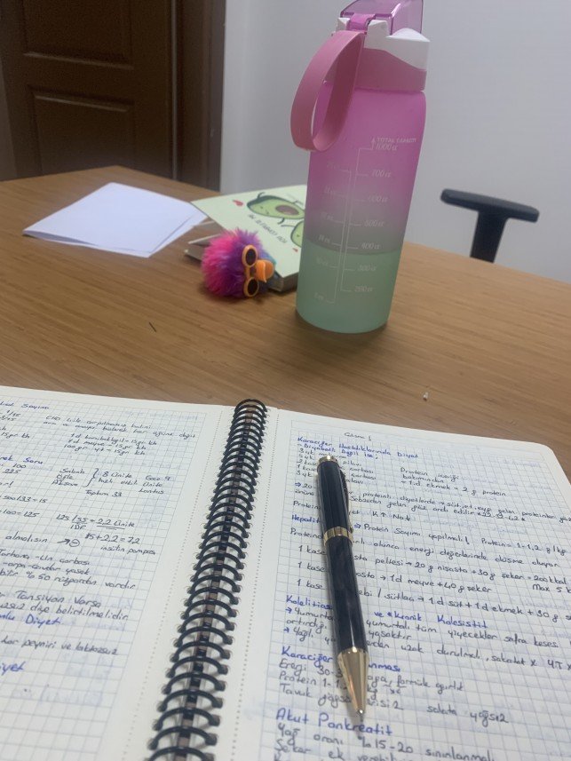 Ayşe Nazlı Koçyiğit