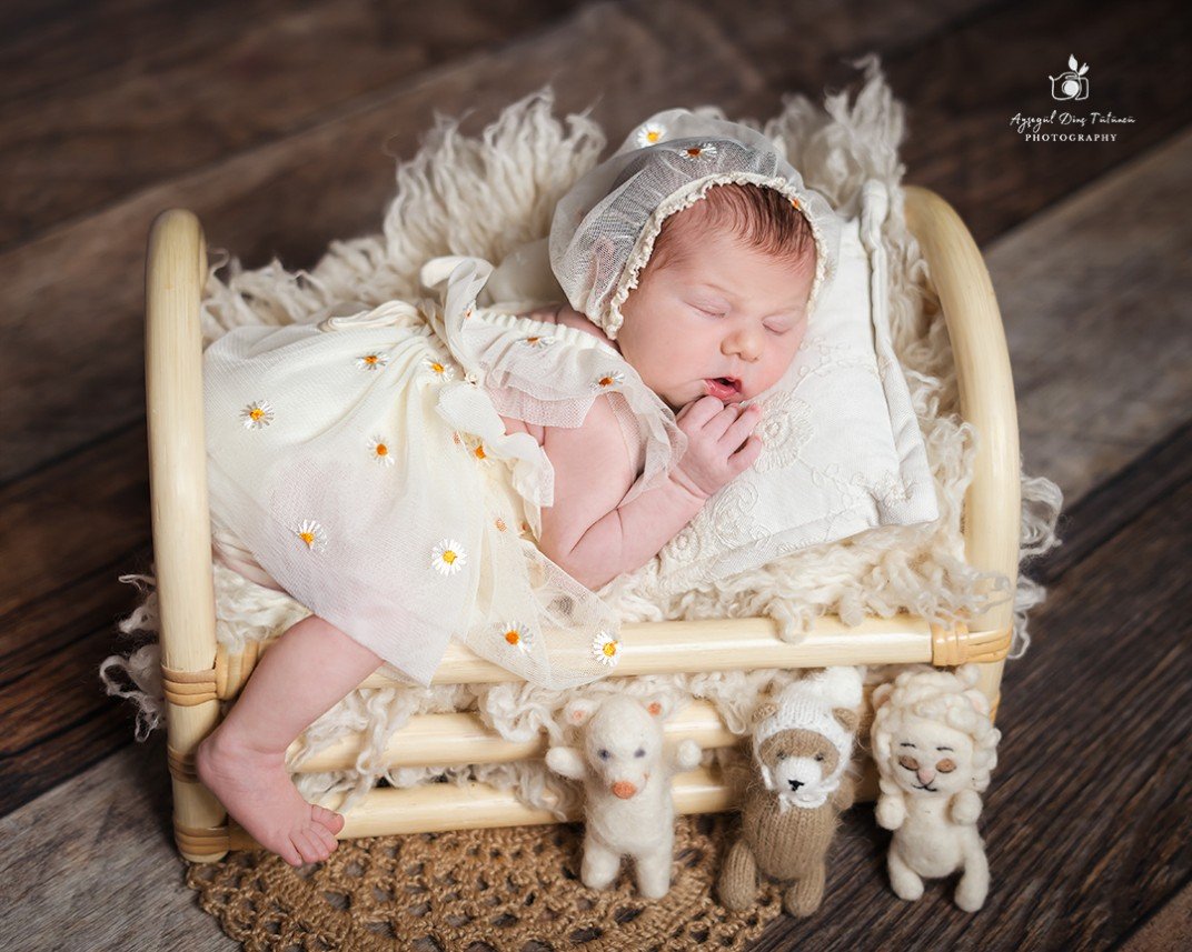 Ayşegül Dinç Tütüncü