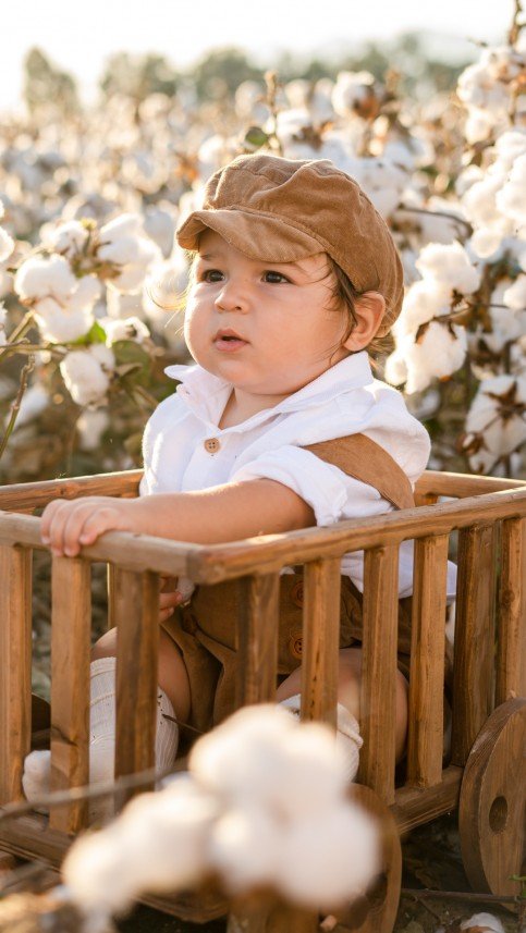 Ayşegül Dinç Tütüncü