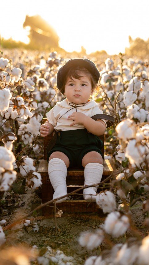 Ayşegül Dinç Tütüncü