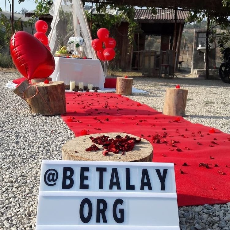 Ayshe Organizasyon Mersin