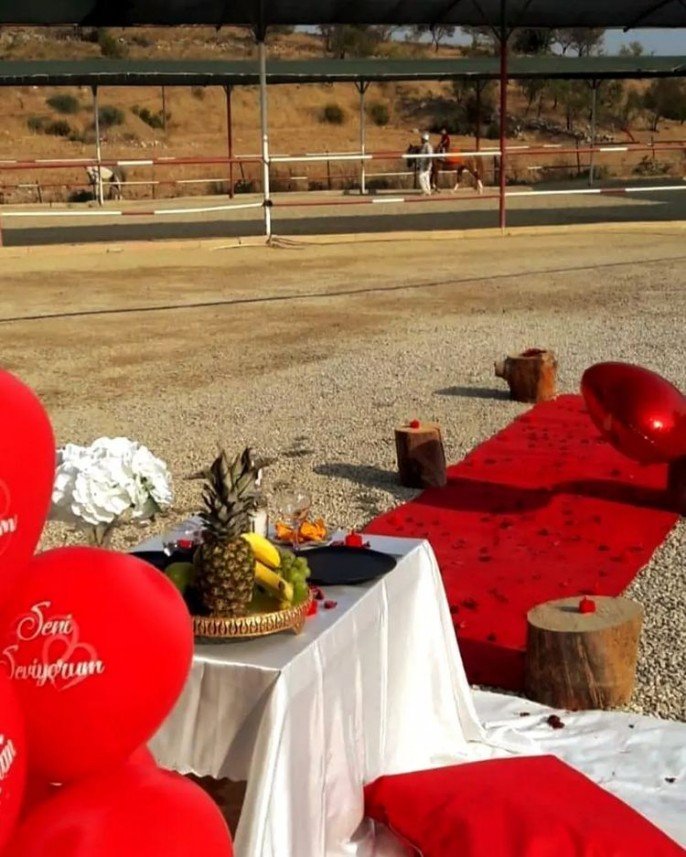 Ayshe Organizasyon Mersin