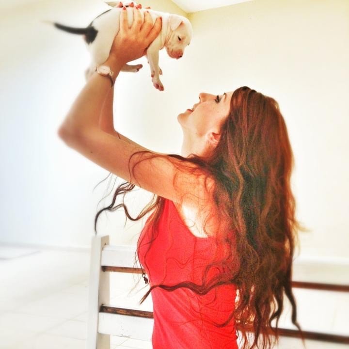 Aysun Küçükakça Kedi Oteli