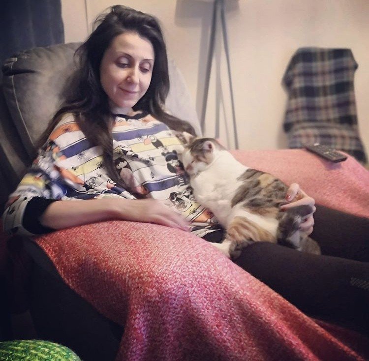 Aysun Küçükakça Kedi Oteli