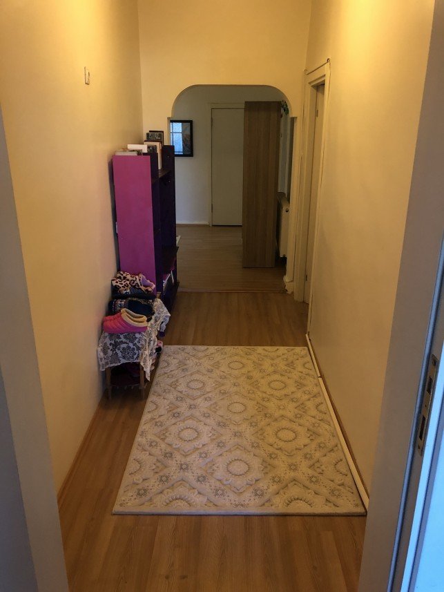 Aysun Küçükakça Kedi Oteli