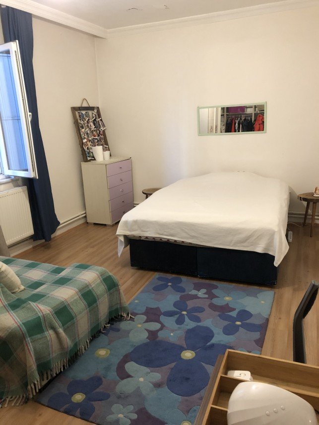 Aysun Küçükakça Kedi Oteli