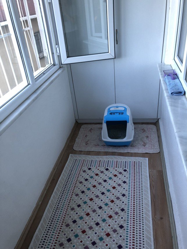 Aysun Küçükakça Kedi Oteli