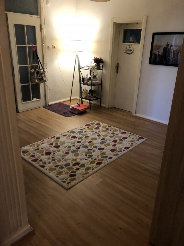 Aysun Küçükakça Kedi Oteli