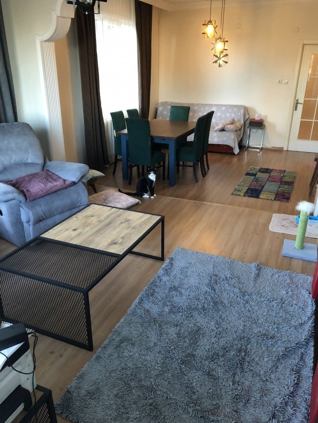 Aysun Küçükakça Kedi Oteli