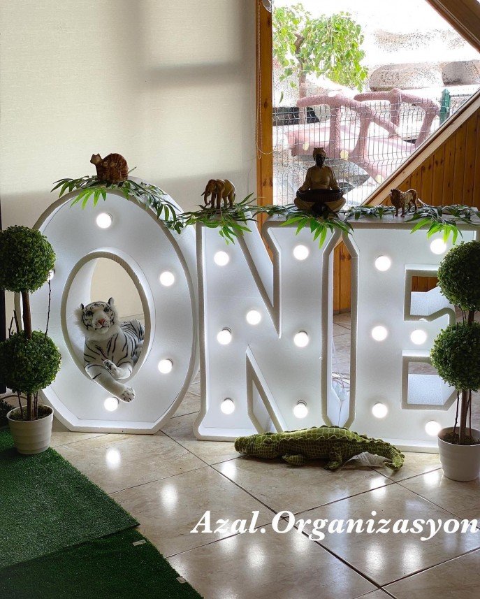 Azra & Alya Organizasyon