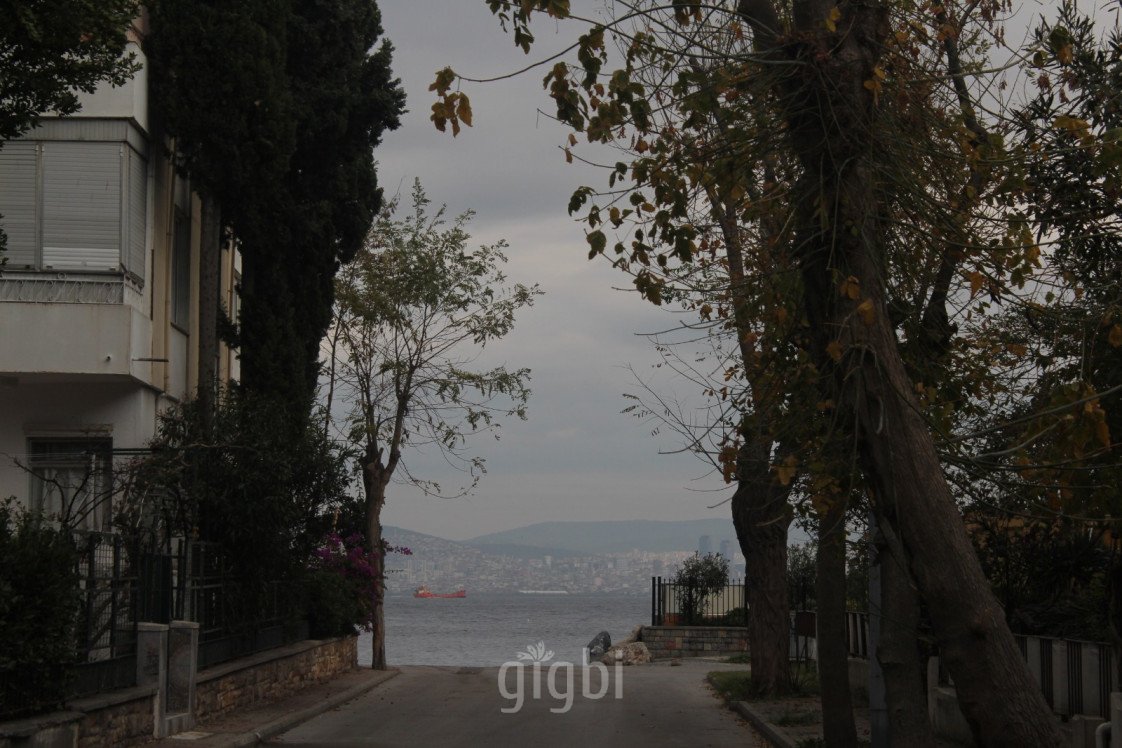 Bahattin Dönmez photography