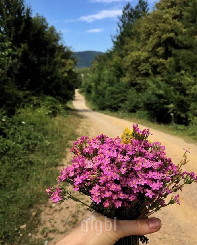 Bahattin Dönmez photography