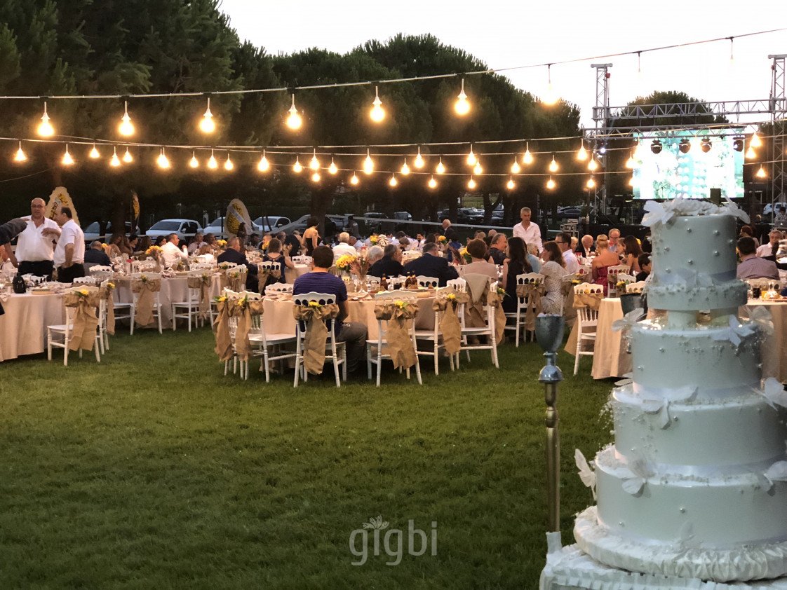 Bandovivo Müzik Organizasyon