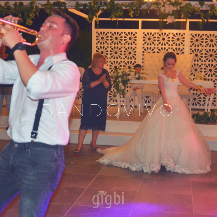 Bandovivo Müzik Organizasyon