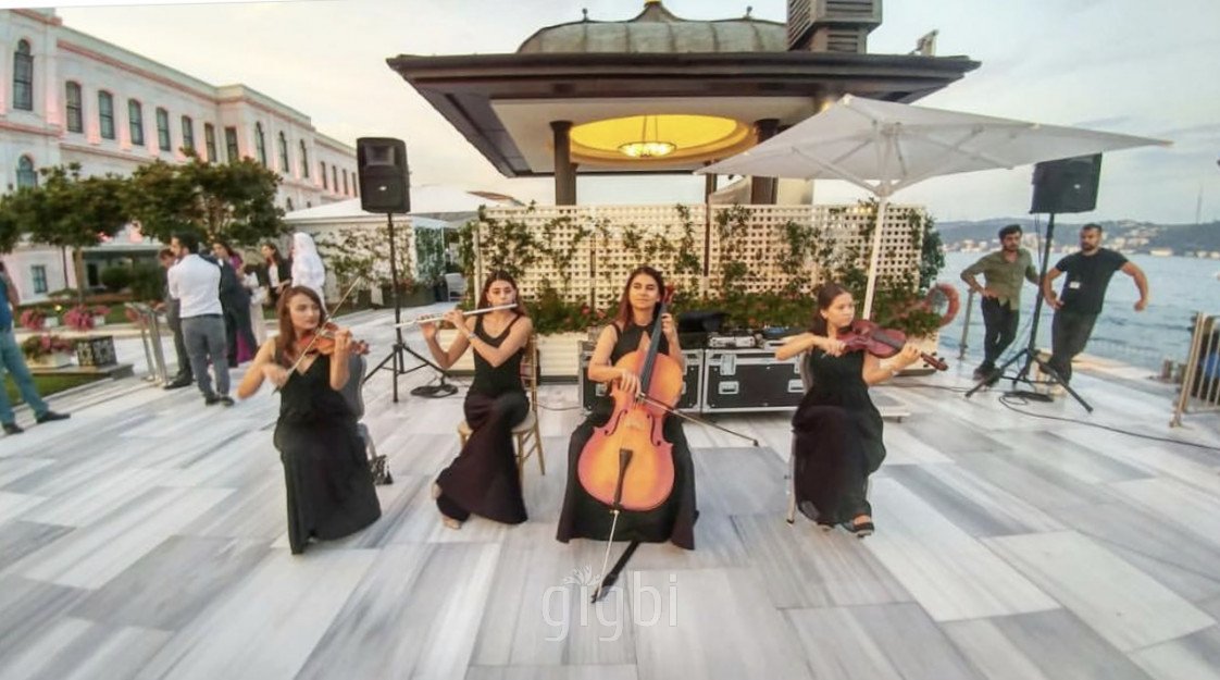 Bandovivo Müzik Organizasyon