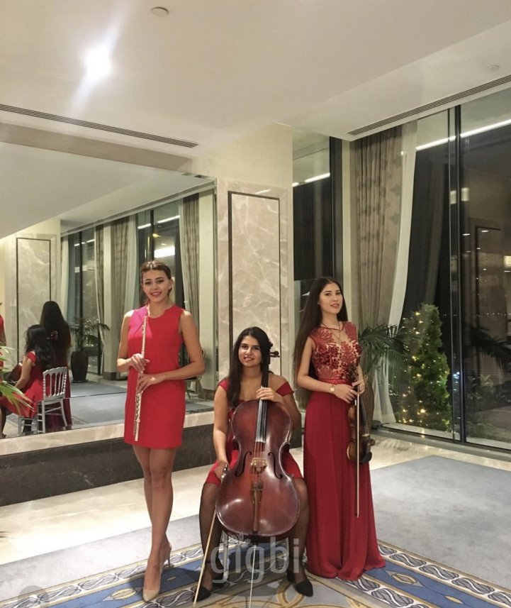 Bandovivo Müzik Organizasyon