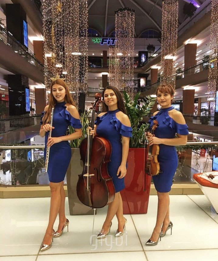 Bandovivo Müzik Organizasyon