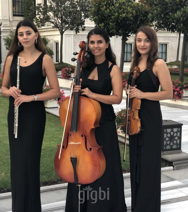 Bandovivo Müzik Organizasyon