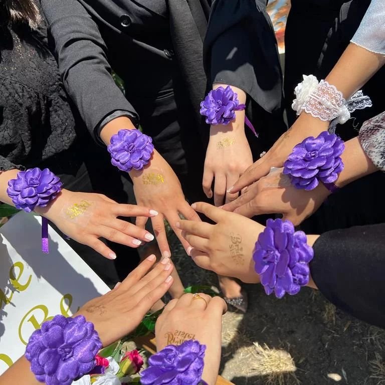 Banu'nun Hayal Dünyası