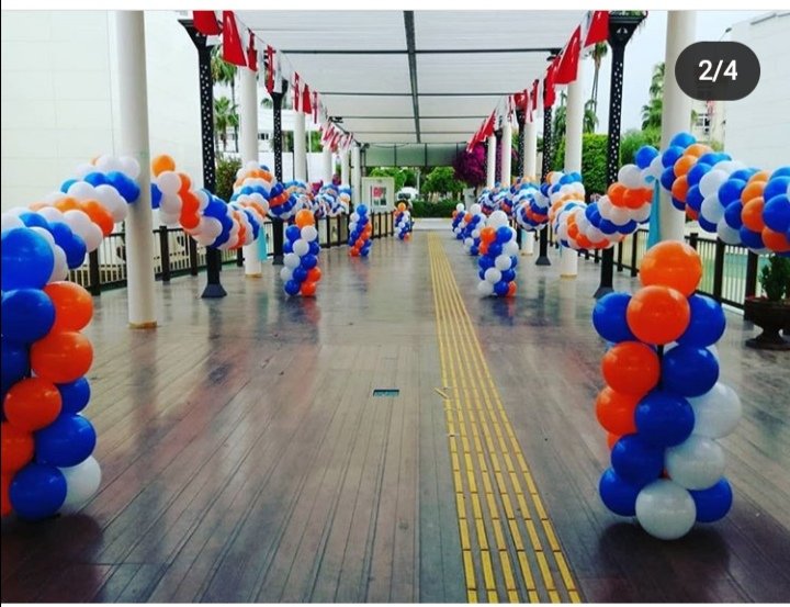 Başlangıç Organizasyon