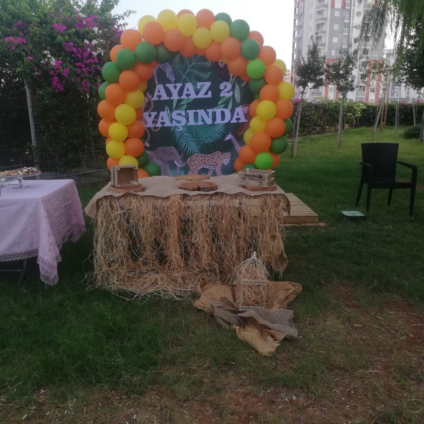 Başlangıç Organizasyon