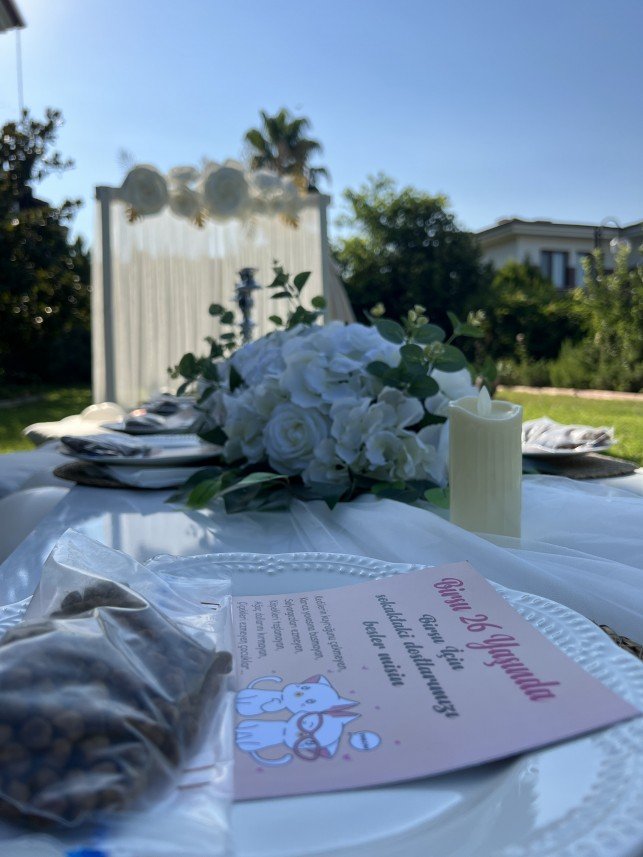 BBConcept Organizasyon