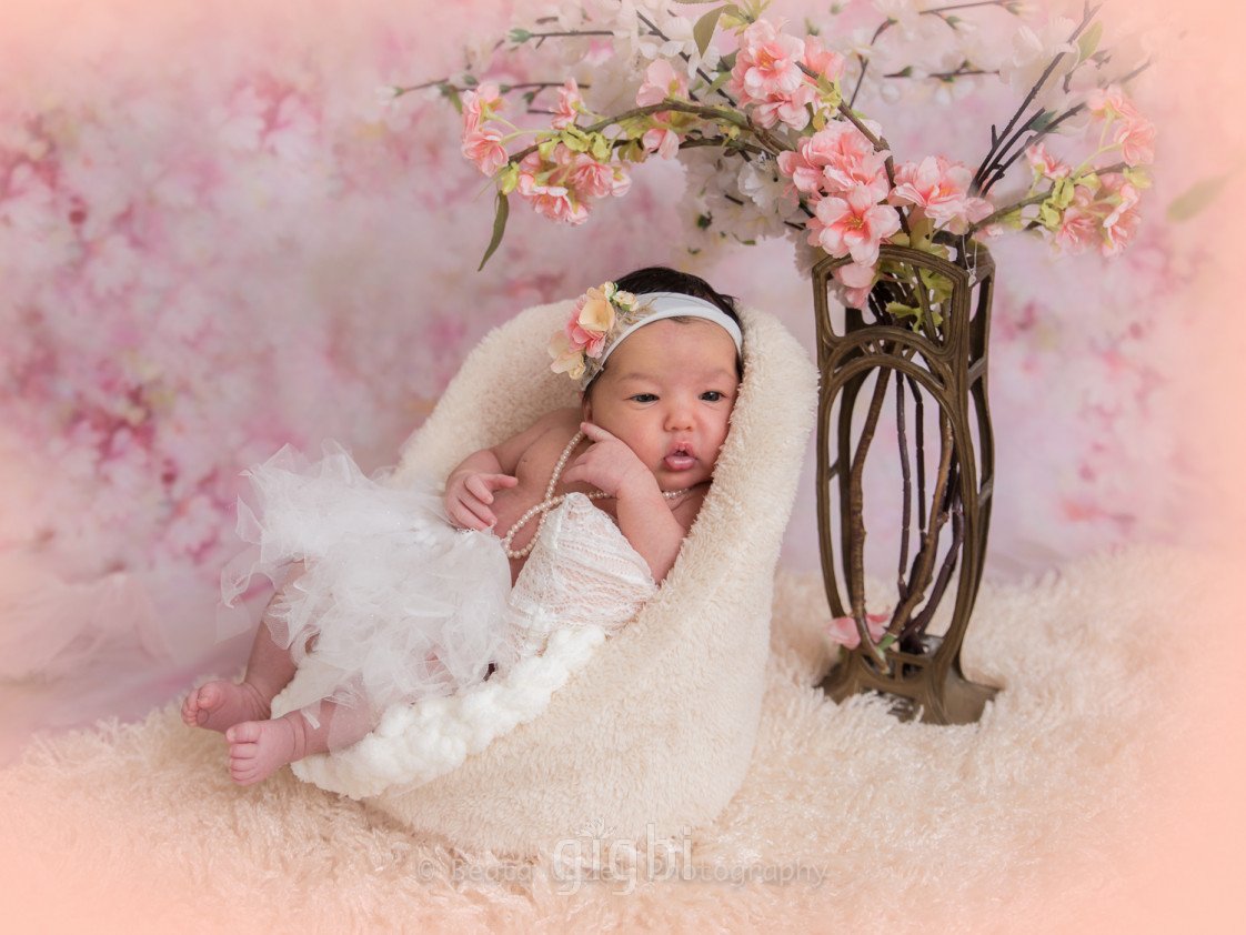 Beata Gazel Photography