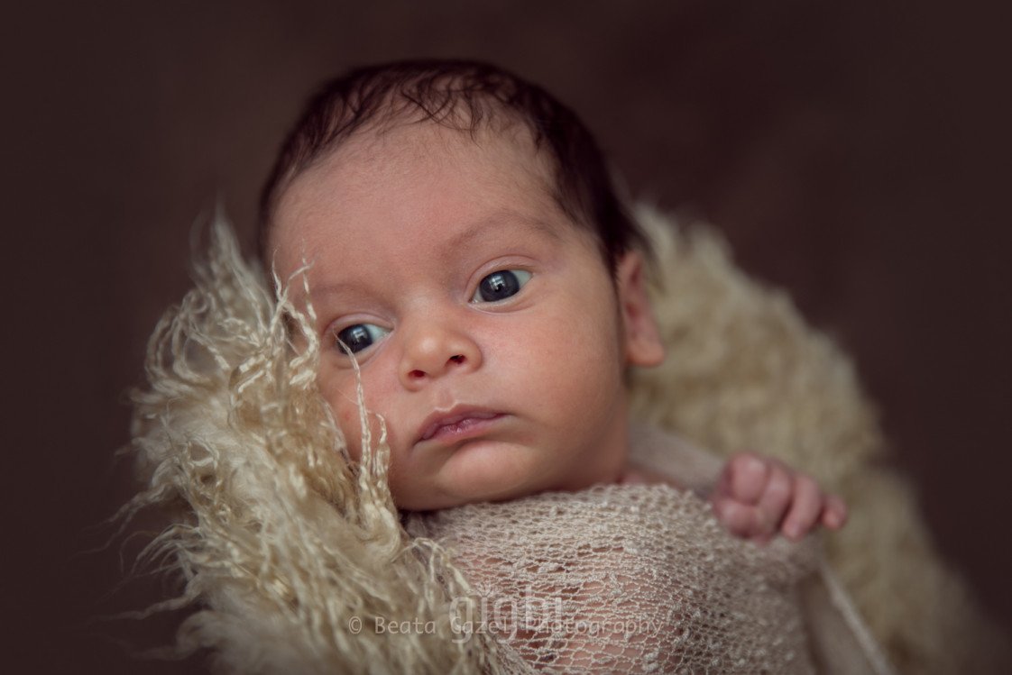 Beata Gazel Photography