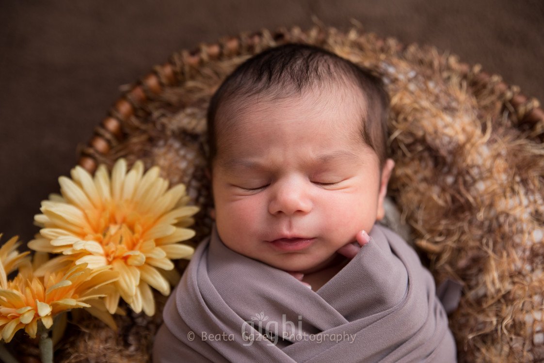 Beata Gazel Photography