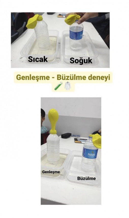 Begüm Balcı Şen