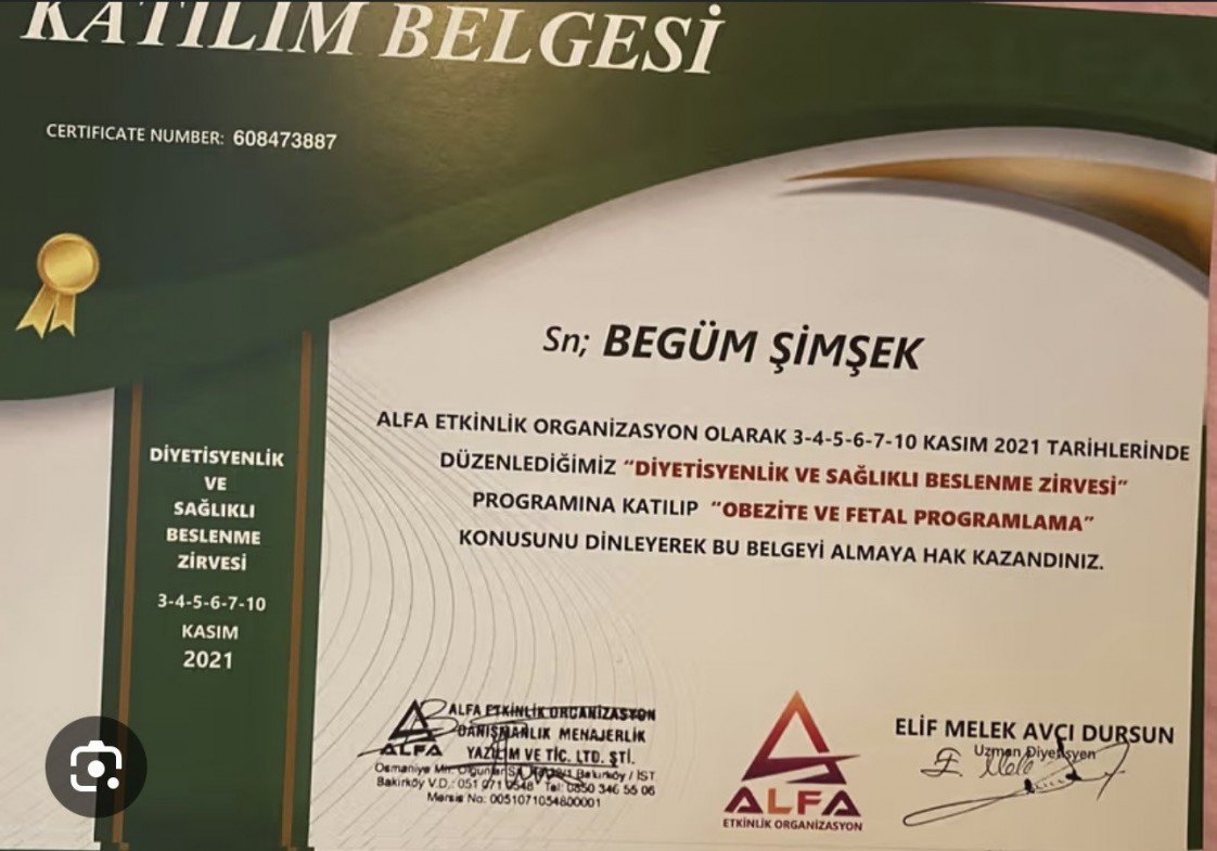 Begüm Şimşek İpek