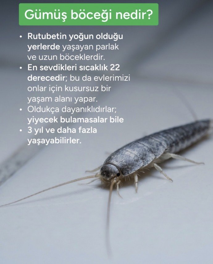 Behcet Mutlu