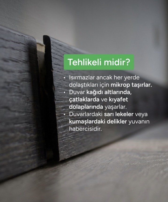 Behcet Mutlu