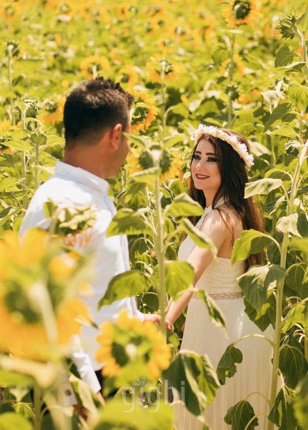 Bekir Işık Gökhan Color