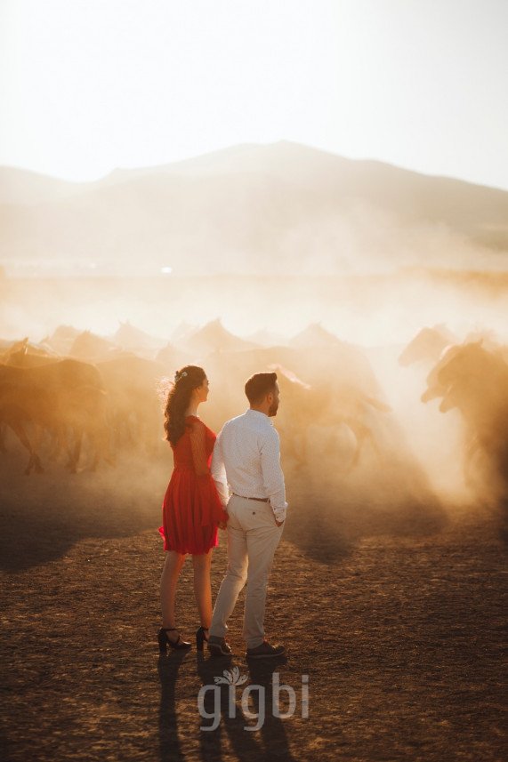 Bekir Işık Gökhan Color