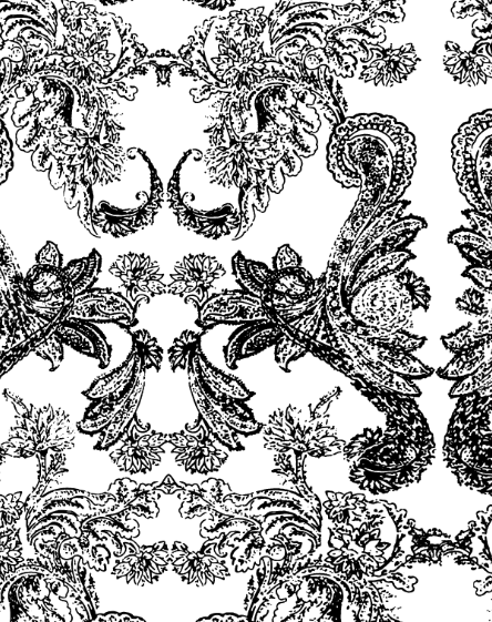 Berfe Nur Yıldıran