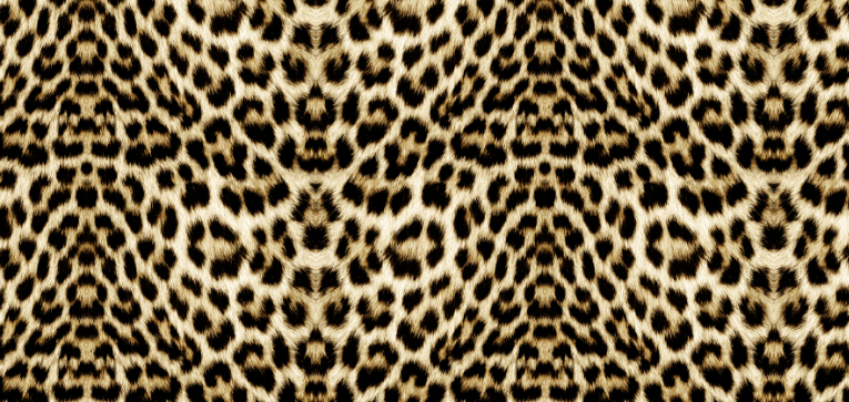 Berfe Nur Yıldıran