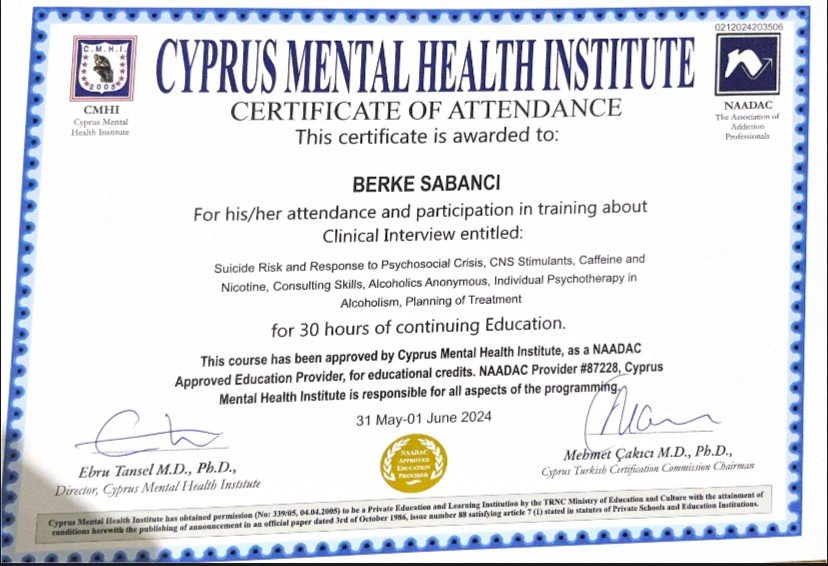 Berke Sabancı
